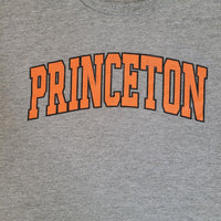 VINTAGE PRINCETON UNIVERSITY SPELLOUT TEE